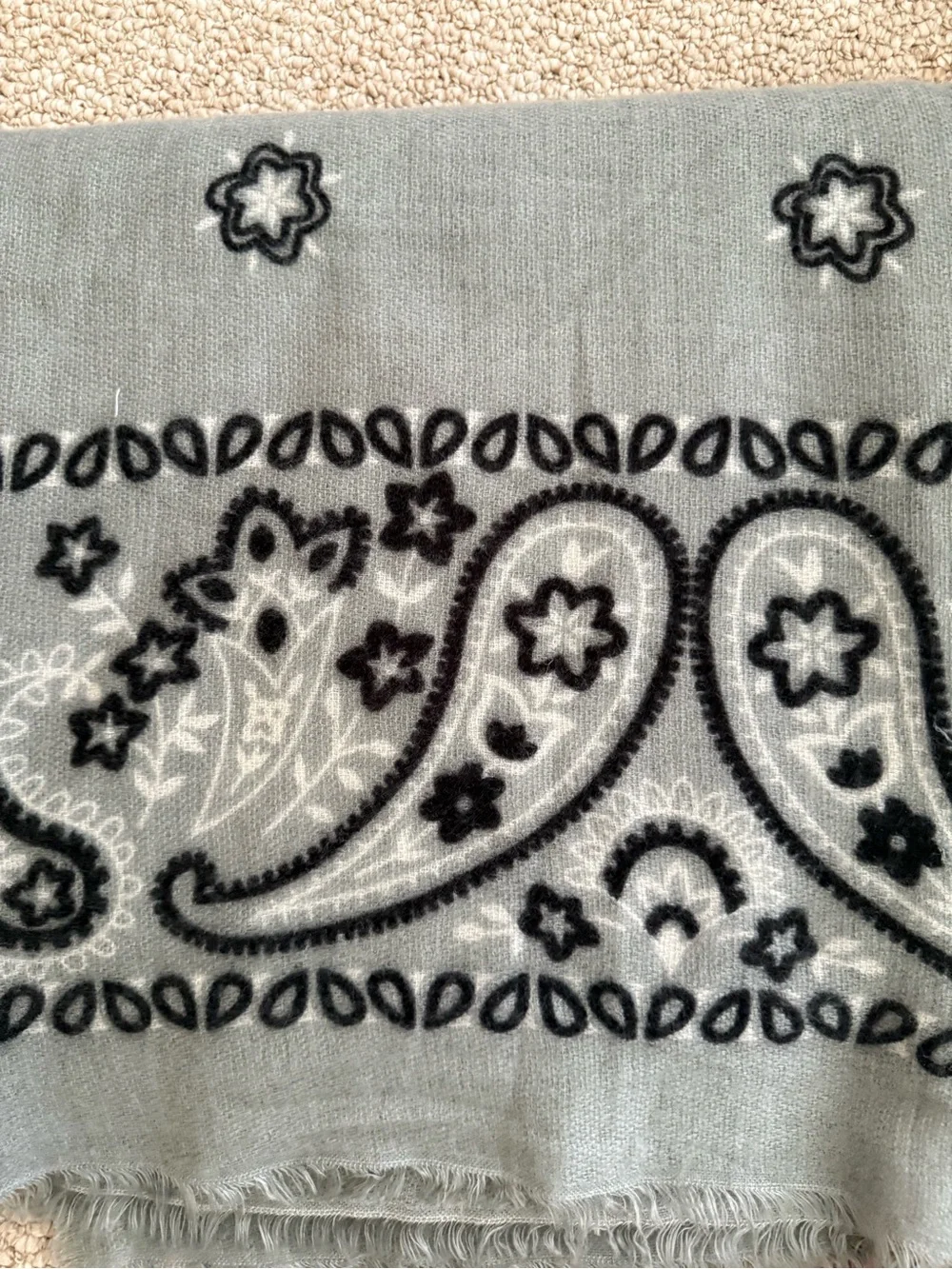 Steve Madden it print